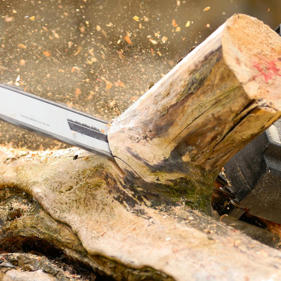 Waikato Tree Felling Team