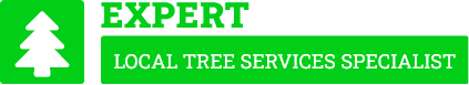 Waikato Tree Removal - Tree Removal Waikato